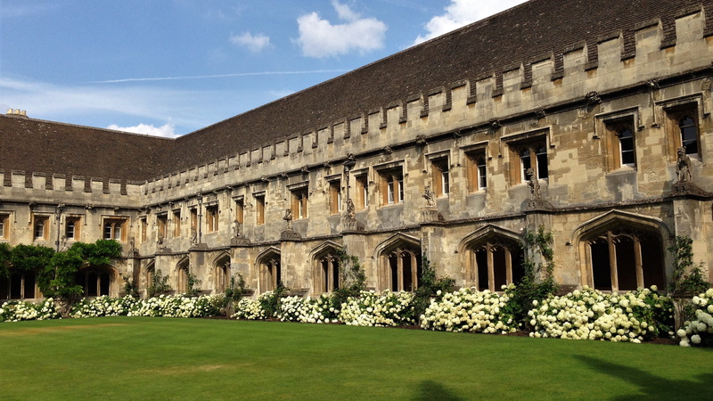 historic, lawn, old, sunlight, 2K, oxfordshire, built structure, university, arch, plant, no people, magdalen, tree, travel, oxford, college, sky, architecture