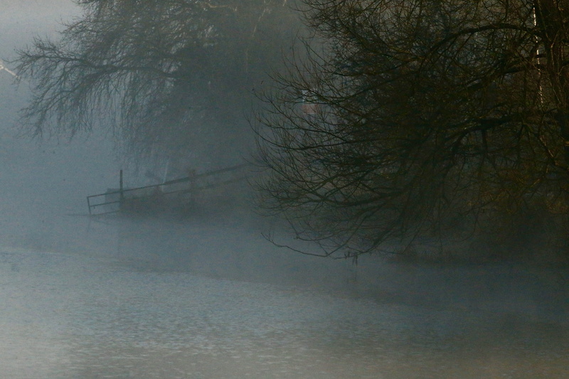 scenics - nature, water, tranquil scene, oxford, 5K, land, plant, nature, tranquility, united kingdom, port meadow, bare tree, hazy, beauty in nature