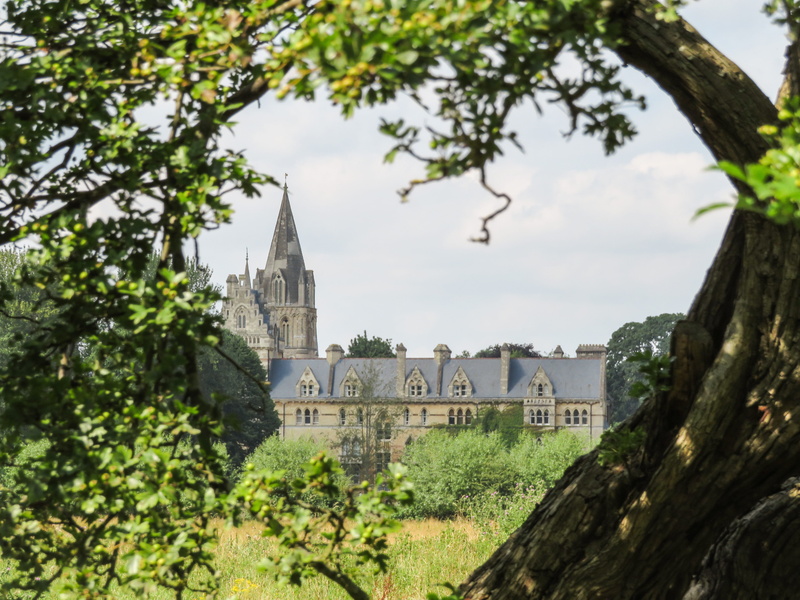 university, built structure, history, spire, oxfordshire, travel destinations, meadow, historic, growth, building exterior, place of worship, plant, oxford