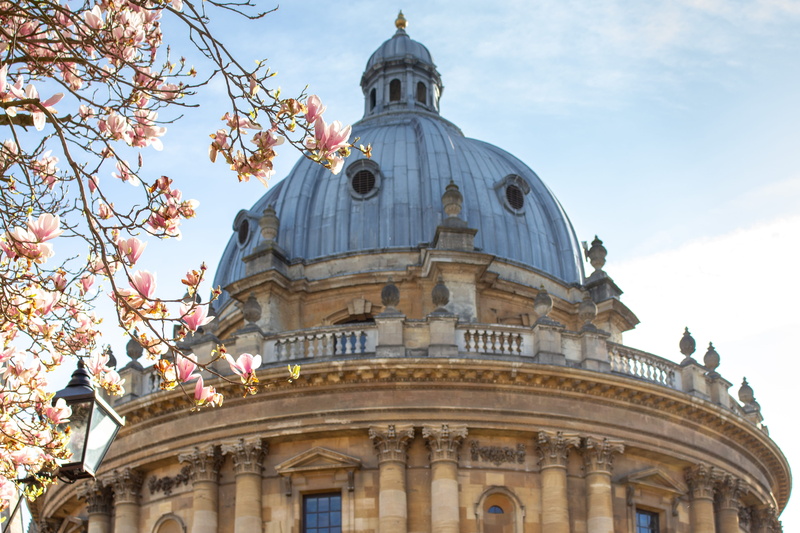 nature, university, place of worship, oxford, religion, 4K, low angle view, urban, building, university of oxford, magnolia, tree, sky, building exterior