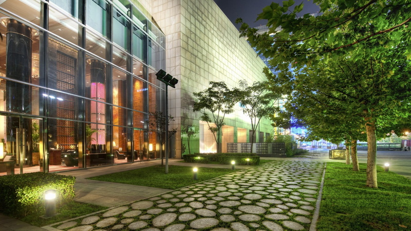 tree, HDR, plant, architecture, lighting equipment, modern, office, window, 1080P, no people, wall, nature, street, glass, built structure, illuminated