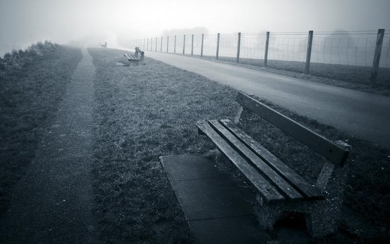 fence, 1080P, path, mist, bench, road, grass