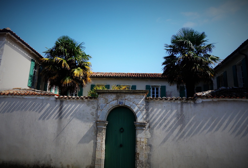 plant, sky, city, water, architecture, blue, pierre, palm tree, no people, door, village, built structure, france, building exterior, nature, outdoors