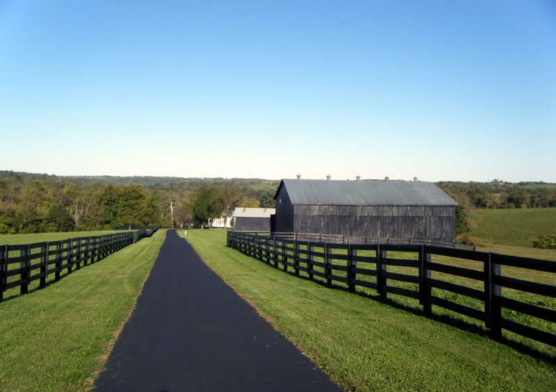 rural, horse, farm, barns, kentucky, 2K, horse-farm