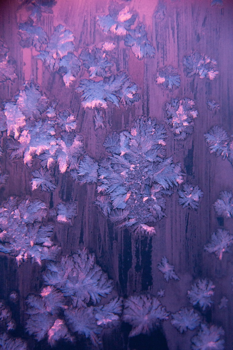 purple, ocean, day, fractal, rock, rock - object, tranquility, painting, rough, plant, sea, art, landscape, sea life, wood - material, eroded, ice, rug