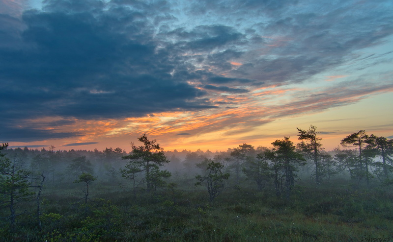Mist, Southern, valkmusa, no people, brown, Morning, sunset, idyllic, Clouds, hazy, land, scenics - nature, non-urban scene, nature, Sunrise, National
