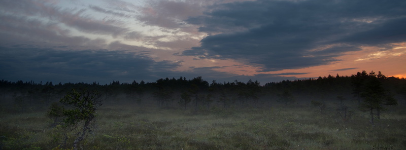 National, Morning, scenics - nature, Finland, tranquility, Landscape, land, Swamp, Clouds, Nature, sunset, hirvijarvi, Park, tranquil scene, tree, non-urban scene
