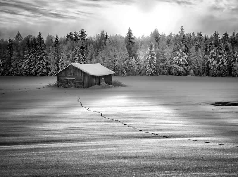 Morning, winter, Finland, no people, beauty in nature, Tracks, black, water, plant, sipilanmaki, sky, tranquil scene, scenics - nature, outdoors, nature