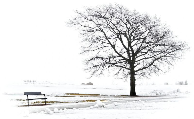 Bench, outdoors, seat, extreme weather, kotka, snowcapped mountain, sky, deep snow, foglia, Southern, Finland, plant, cold temperature, beauty in nature