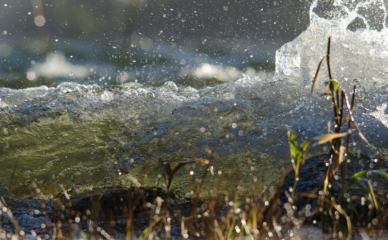 outdoors, flowing, Wave, 4K, Green, rock, close-up, sunlight, rock - object, greenwater, Finland, flowing water, no people, beauty in nature, plant, kotka
