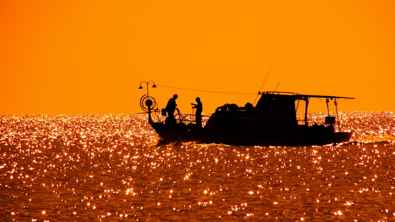 beauty in nature, riding, waterfront, transportation, water, cyprus, fishing boat, men, daytime, boat, photo, sunlight, fisherman, scenics - nature, gold