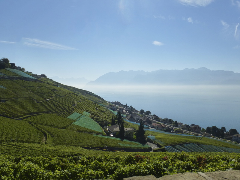 day, tranquility, non-Urban Scene, mountain, scenics - nature, environment, Landscape, hill, farm, tranquil scene, outdoors, tea crop, sky, lake geneva