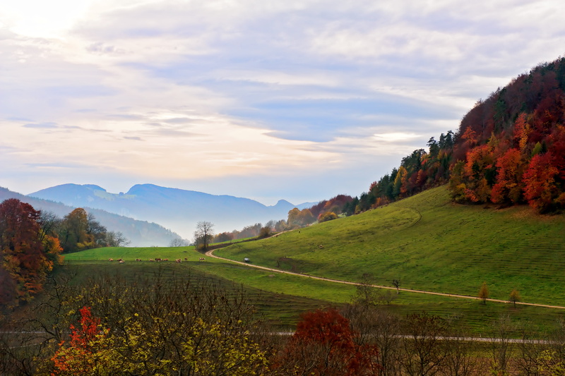 mountains, hills, trees, 4K, grass field, green, forest, rural Scene, fog, beauty In Nature, red, mountain, switzerland, outdoors, basel land, nikon  d700