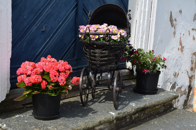 flowers, old house, input, no people, flower arrangement, bouquet, stavanger, nature, decoration, outdoors, beauty in nature, baby carriage, window box