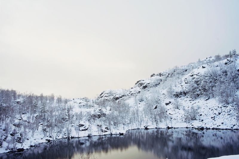 day, hiking, plant, lake, preikestolen, non-urban scene, ice, water, stavanger, snow, cold temperature, trees, norge, outdoors, copy space, hike, nature