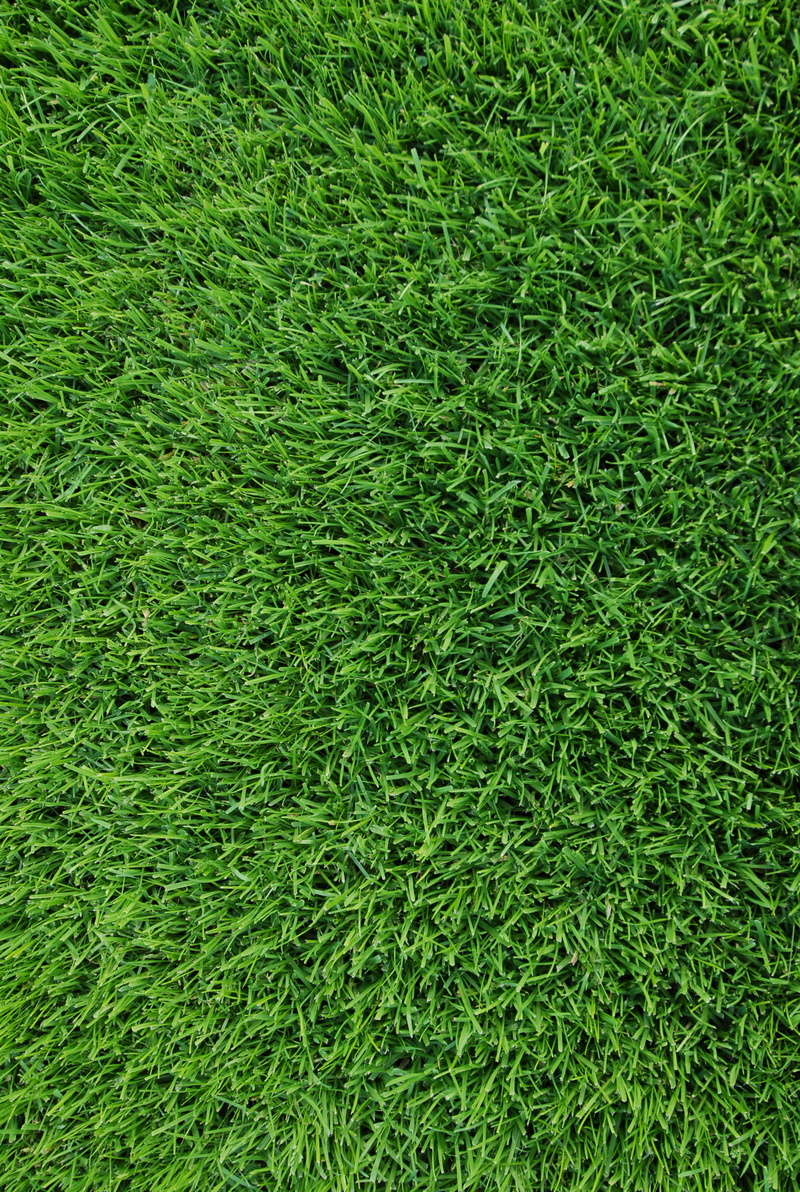 norway, landscape, nature, lush foliage, grass, field, 2K, plant, turf, mariero stasjon, full frame, high angle view, green color, growth, tranquility