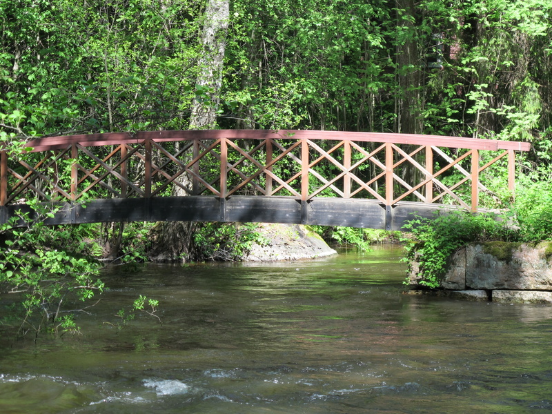 waterfront, footbridge, plant, built structure, forest, flowing, no people, river, nature, architecture, tranquility, water, green color, eagle, flowing water