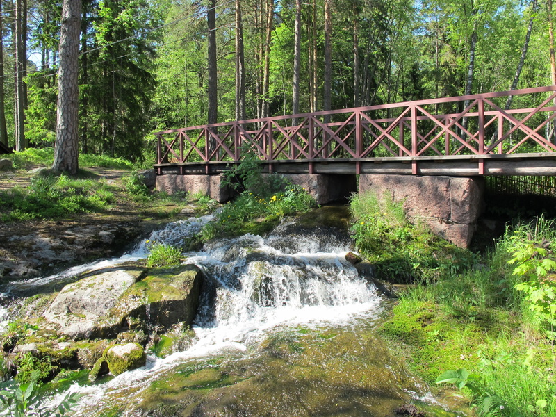 flowing water, flowing, plant, architecture, beauty in nature, no people, power in nature, footbridge, water, forest, nature, green color, motion, langinkoski
