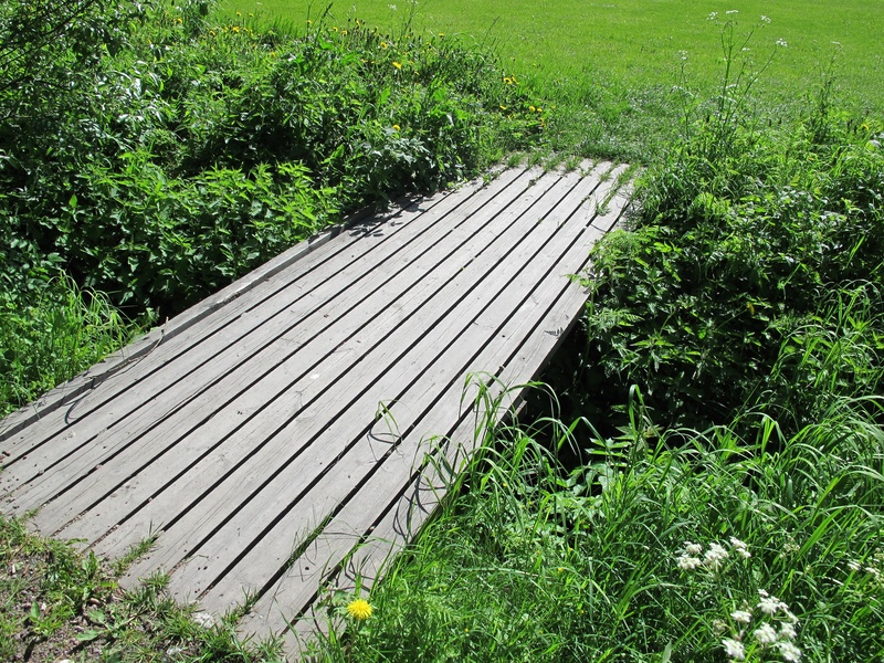 environmental conservation, field, bridge, nature, wood - material, tranquility, environment, langinkoski, beauty in nature, fuel and power generation