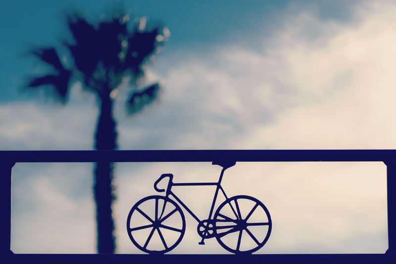 5K, palm tree, day, illustration, tranquility, clouds, cloud - sky, abstract, close-up, blur, decor, color, black, outdoors, auto post production filter