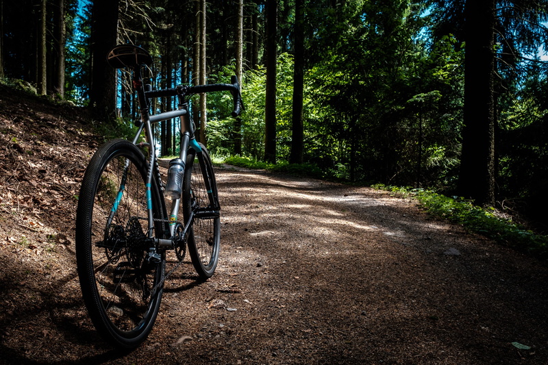 sport, Niner, plant, trees, outdoor, cycle, land vehicle, green, land, trunk, forest, black, nature, daytime, leaf, tranquility, cycling, outdoors, gray