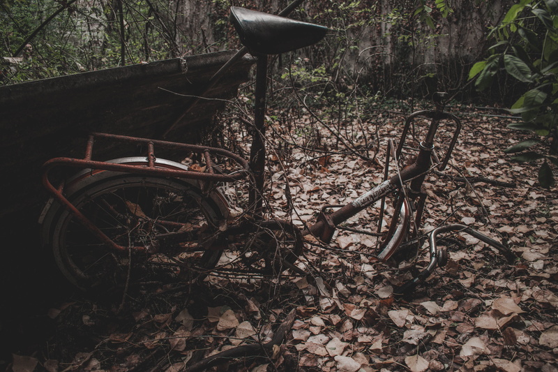 obsolete, land, abandoned, woodland, transportation, black, france, plant part, wheel, old, explore, metal, gray, forest, deterioration, bicycle, damaged