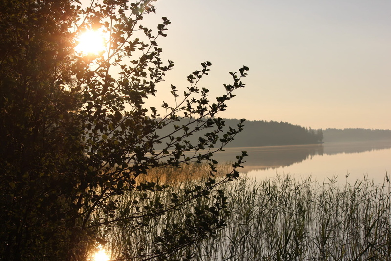 lens flare, growth, tranquil scene, sunbeam, idyllic, reflection, midsummer, beauty in nature, lake, sky, sunset, silhouette, plant, tree, outdoors, 1080P