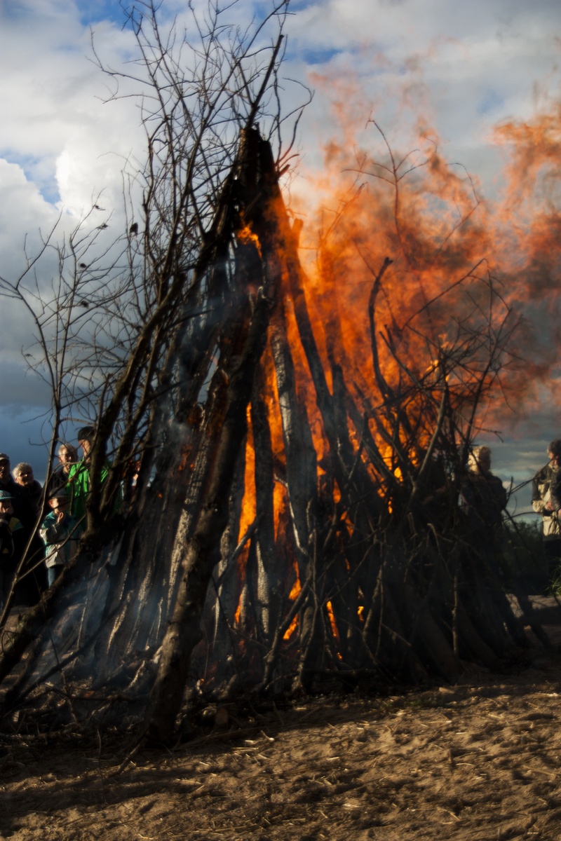 midsummer, flame, environmental damage, cloud - sky, sky, destruction, land, heat - temperature, accidents and disasters, power in nature, burning, fire - natural phenomenon