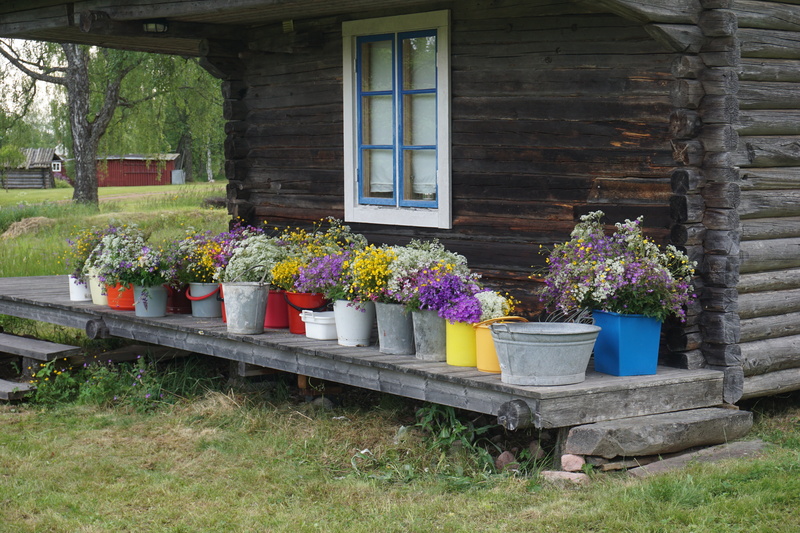 outdoors, flower, growth, beauty in nature, midsommarblommor, purple, building, potted plant, fragility, window box, plant, gardening, flower pot, freshness