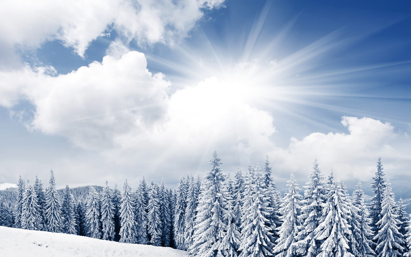 bright, trees, snow, forest, scenery, clouds, 2K, field, snowy, winter, day