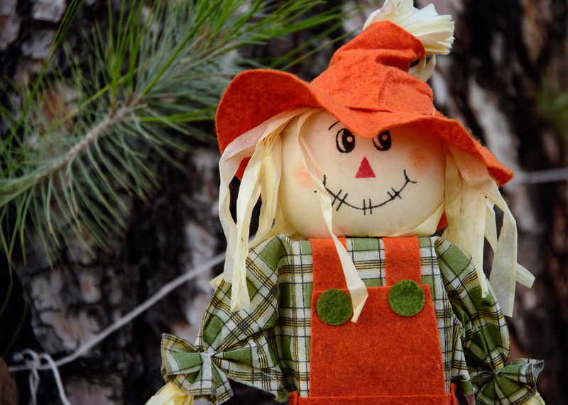 male likeness, plant, celebration, no people, christmas, thanksgiving, kern county, focus on foreground, representation, family, scarecrow, outdoors, day