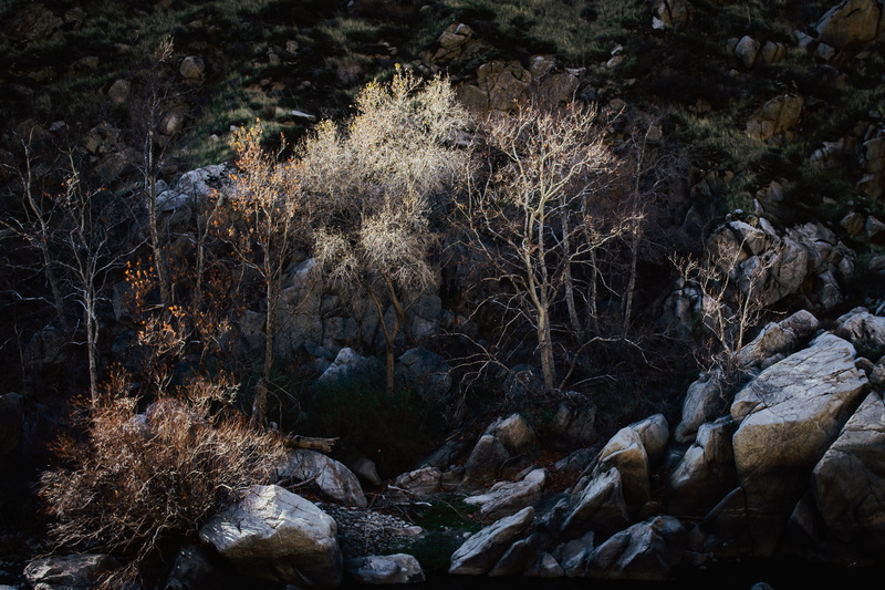 landscape, leafless, outdoors, water, snow, rocks, hillside, slate, flowing water, rock, rock - object, tree, forest, scenics - nature, kern river, frost