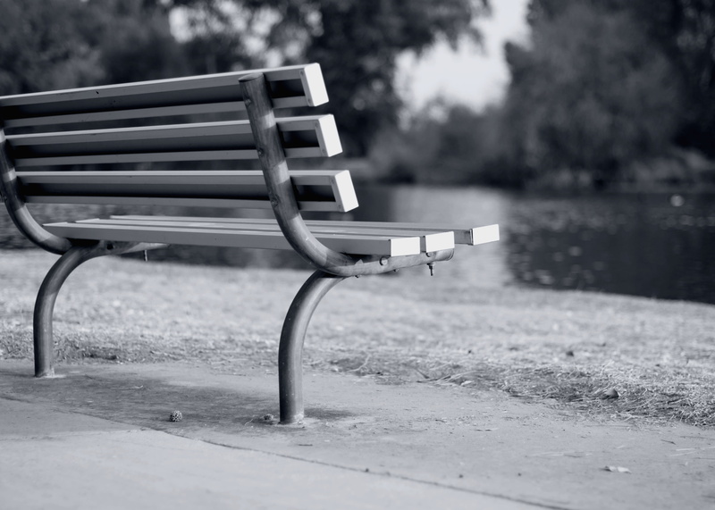 hart park, winter, park bench, outdoors, bench, land, lonely, california, bakersfield, empty, outdoor play equipment, tranquility, relaxation, lake, footpath