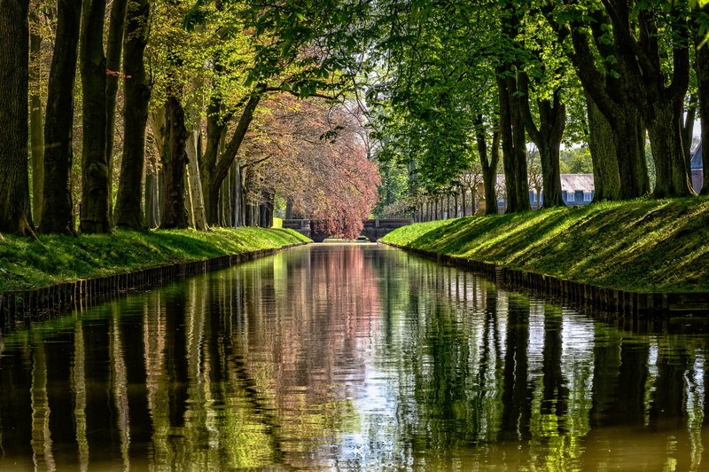 north churches, tranquility, nature, no people, reflection, castle park, 5K, water, tree trunk, tranquil scene, treelined, trunk, land, idyllic, münsterland