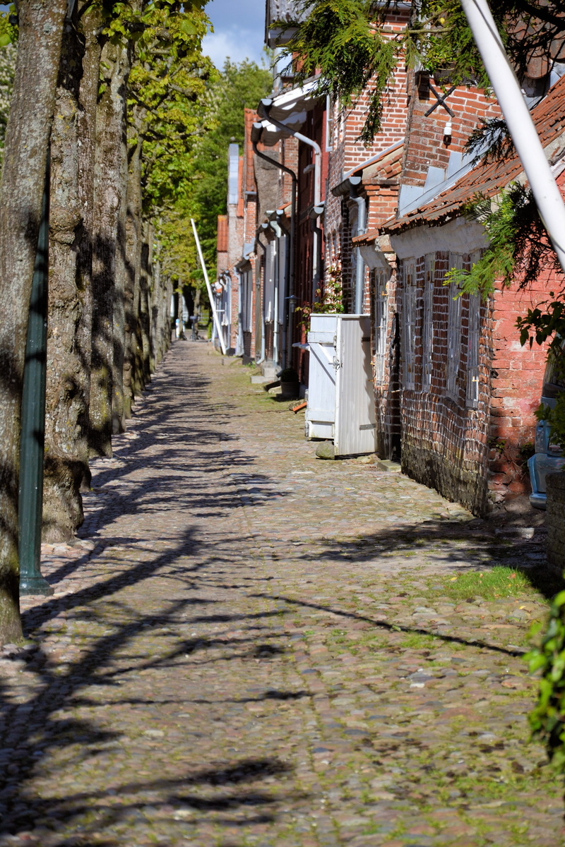 plant, city, building, historically, residential district, direction, day, outdoors, castle street, the way forward, tønder, brick houses, house, narrow