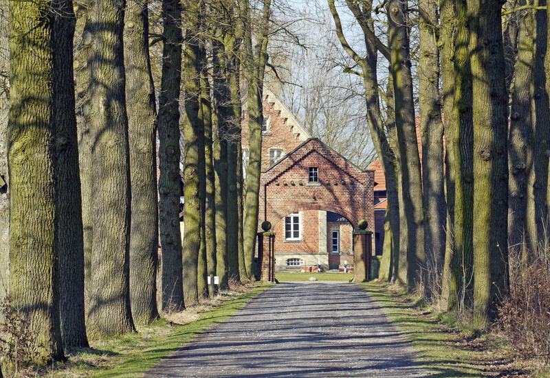 trunk, agriculture, germany, nature, large-bauer, clinker, road, land, münsterland, manor, day, architecture, the way forward, gräftenhof, concrete, oak avenue