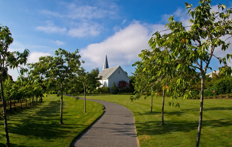 sunlight, green grass, wooden church, 4K, growth, building, house, sky, new zealand, trees, pathway, avenue of trees, land, architecture, path, church spire