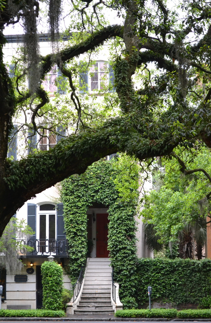 direction, built structure, Georgia, georgia, 4K, Southern, Historic, nature, day, trunk, city, building exterior, southern, staircase, Georgia, tree