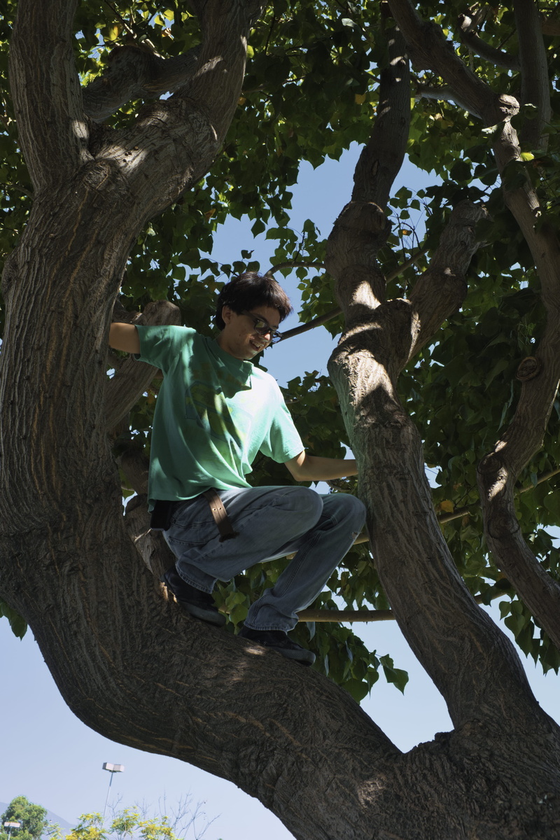 oak, casual clothing, nature, fujifilm, human, plant, adolescence, sport, 4K, street, trunk, males, tree trunk, tree, men, apparel, shoe, portrait, sports