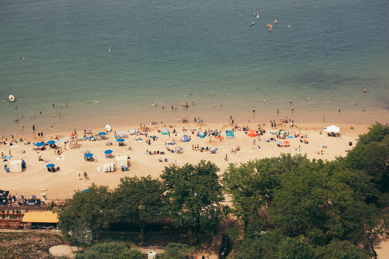 tree, oak beach, land, high angle view, outdoors, beach, united states, trip, real people, day, 5K, large group of people, oak street beach, group of people