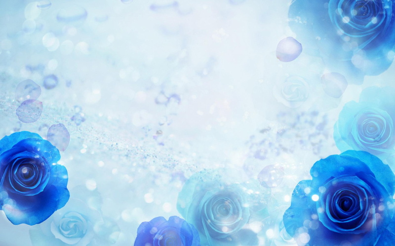 3d and abstract, nature, blue, themes, jpg, 1080P, roses, windows