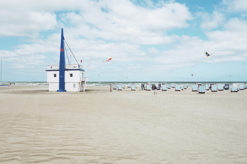 bird, sand, balticsea, flying, vertebrate, animal, warnemünde, water, person, sky, real people, summer, horizon over water, incidental people, nature, meer