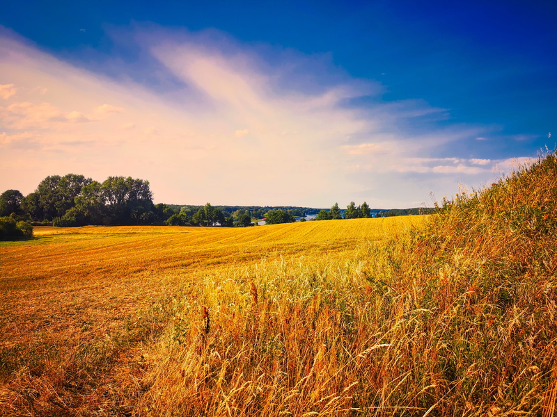 pasture, idyllic, rural scene, no people, plant, tranquility, tree, meadow, agricultural, non-urban scene, nature, cloud - sky, rural, fields, graze, clouds