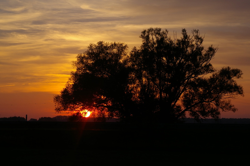 mecklenburg vorpommern, scenics - nature, romantic, mood, tranquil scene, 2K, field, evening sky, beauty in nature, autumn, orange color, idyllic, afterglow