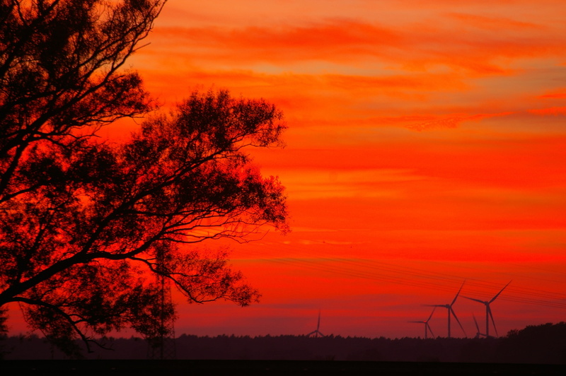 evening, silhouette, evening sky, silent, mecklenburg vorpommern, electricity, wind turbine, wind power, romantic sky, evening sun, nature, germany, tree