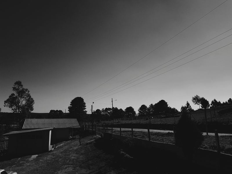 4K, fence, sky, cable, dusk, connection, power supply, plant, outdoors, environment, electricity pylon, boundary, transportation, barrier, nature, tree