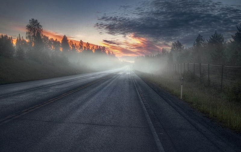 tranquil scene, fence, mist, sun, beauty in nature, transportation, direction, morning, road, diminishing perspective, shrubs, tranquility, the way forward