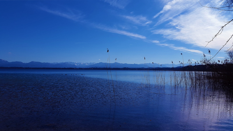 mirroring, alone, bird, brown, hiking, tranquility, beauty in nature, tranquil scene, lake, recovery, break, no people, rest, alpine, cloud - sky, tree