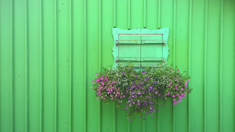 turquoise colored, flowers, 2K, plant, vacation, outdoors, growth, wall - building feature, corrugated, green color, facade, wall, architecture, green