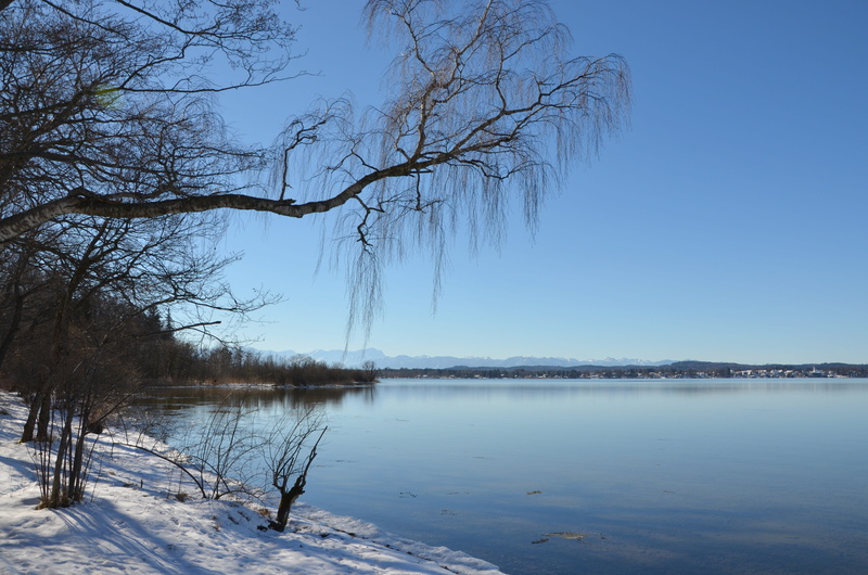 day, landscape, scenics - nature, 4K, blue, winter, reflection, tranquil scene, Snow, snowfield, cold temperature, tranquility, bare tree, sparkle, plant